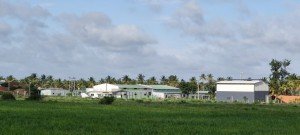 meghana coconut industry