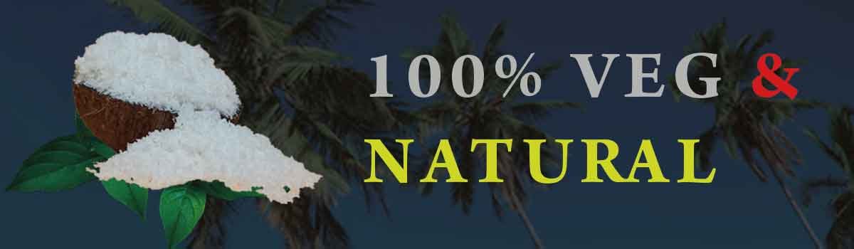 Meghana coconut industry