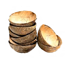 coconut shell Meghana coconut industry