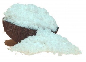 desiccated coconut powder per kg