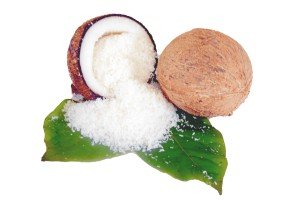 Meghana coconut industry