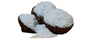 desiccatedcoconut powder, meghana coconut industry