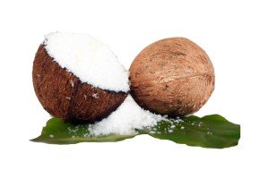 desiccated coconut powder per kg