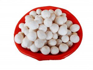 desiccated coconut powder